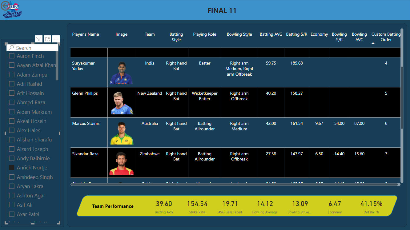 Cricket World Cup Final 11